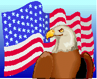 USA Flag with Eagle 1