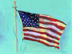 USA Flag Picture 2