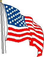 Waving USA Flag - Static