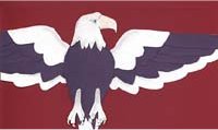 Patriotic American Eagle