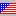 USA Flag Icon 9
